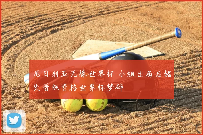 尼日利亚无缘世界杯 小组出局后错失晋级资格世界杯梦碎